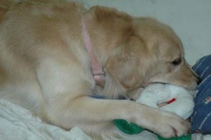 1380945443-372083890