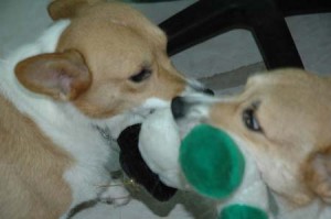 1380945444-1842032228