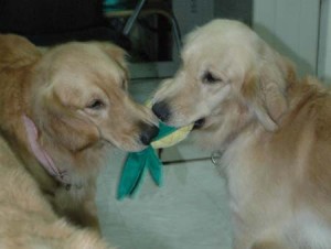 1380945444-2574500056