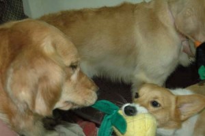 1380945444-687260340