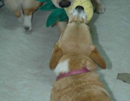 1380945445-1228158031