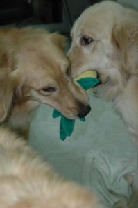 1380945445-3672823716