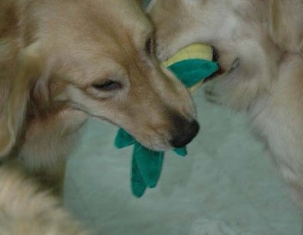 1380945445-3672823716