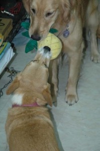 1380945446-1123253343