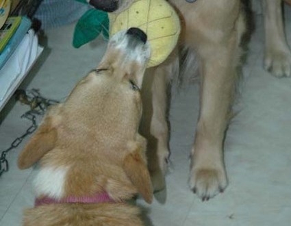 1380945446-1123253343