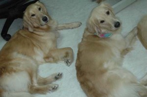 1380945447-2884490338