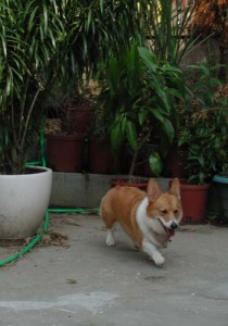 1380945448-2887257996