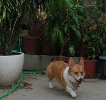 1380945448-2887257996