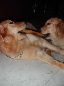 1380945448-4224493196