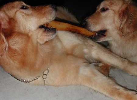 1380945448-4224493196