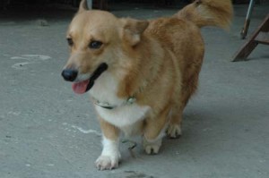 1380945449-1758326183