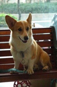 1380945450-909739777