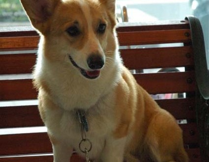 1380945450-909739777