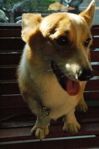 1380945451-3351695617