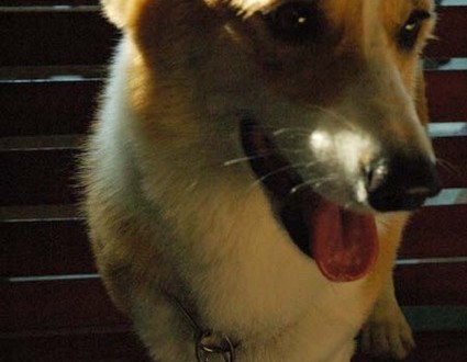 1380945451-3351695617