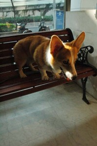 1380945451-3377289005