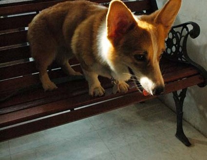 1380945451-3377289005