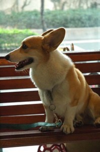 1380945451-811238212