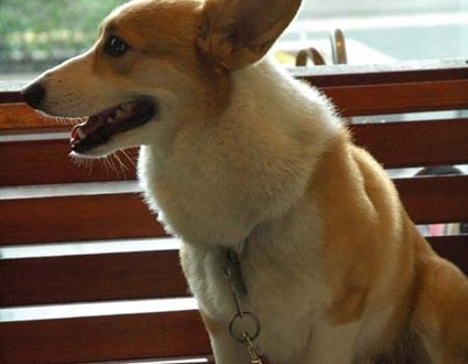 1380945451-811238212