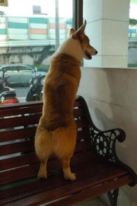 1380945452-2235544393