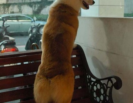 1380945452-2235544393