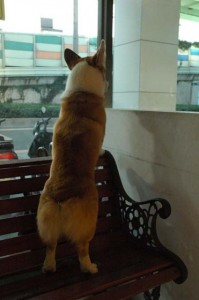 1380945452-3134455865