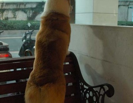 1380945452-3134455865