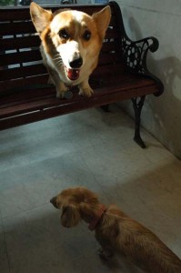 1380945453-2213386989