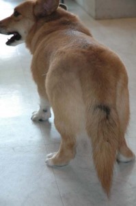 1380945454-3012819829