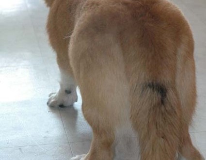 1380945454-3012819829