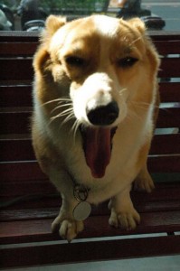 1380945454-357124648