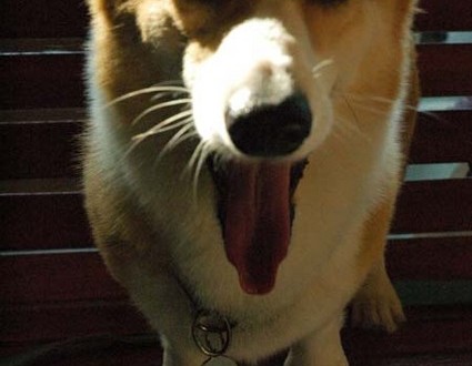 1380945454-357124648