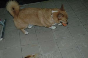 1380945455-1861944512