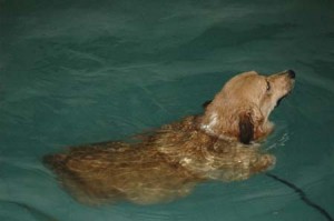 1380945455-3619159859