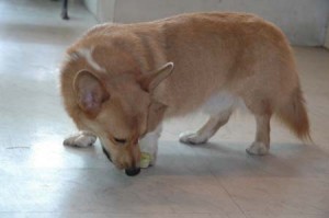 1380945455-949061686