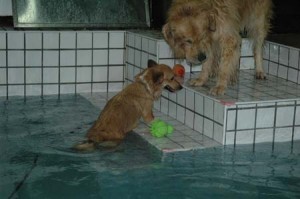 1380945456-1746579489