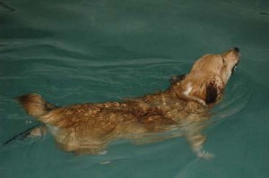 1380945456-297522281