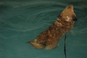 1380945457-2478821395