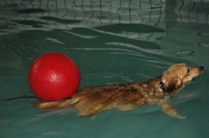 1380945457-2811149045