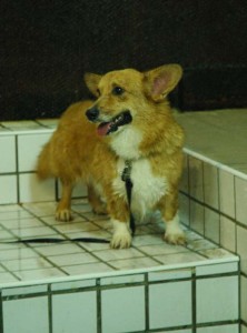 1380945458-1997171055