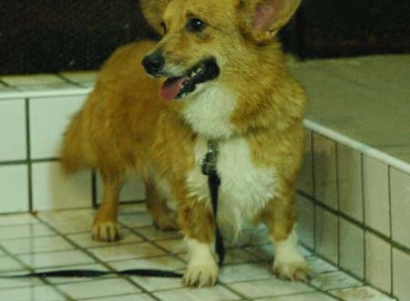 1380945458-1997171055