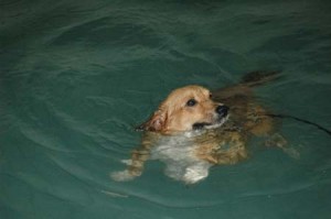 1380945458-3412010408