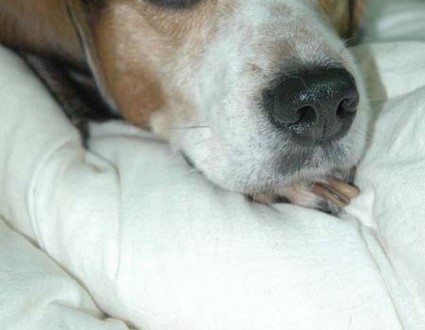 1380945460-1924756793