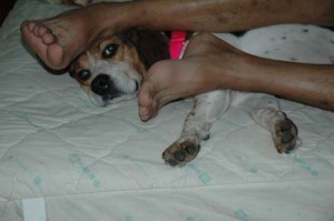 1380945463-2898167223