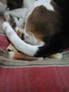 1380945464-1606945280