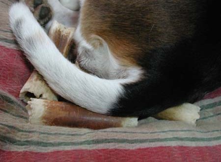 1380945464-1606945280