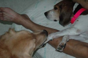 1380945464-1717416861