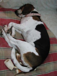 1380945464-704527929