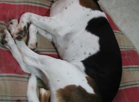 1380945464-704527929