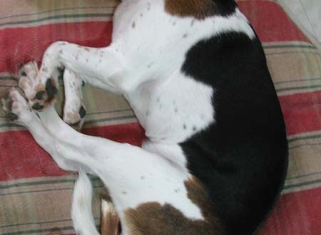 1380945465-2094067582